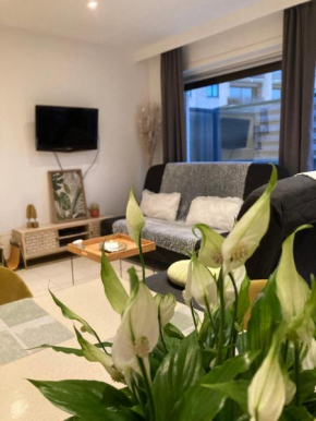 DUNAS,appartement met garage